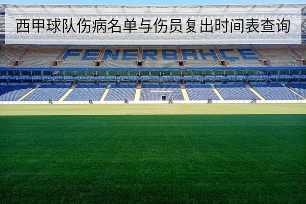 西甲球队伤病名单与伤员复出时间表查询